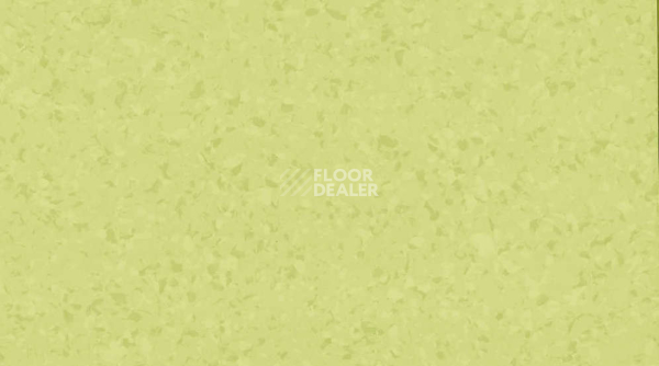 Линолеум Gerflor Mipolam Symbioz 6027 ACCACIA фото 1 | FLOORDEALER